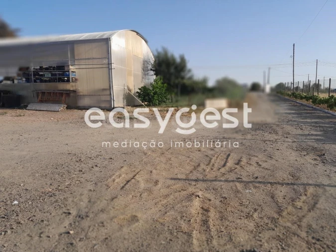 Quinta T4 para Venda em Santa Vitória e Mombeja Foto 19