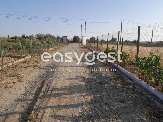 Quinta T4 para Venda em Santa Vitória e Mombeja Foto 21