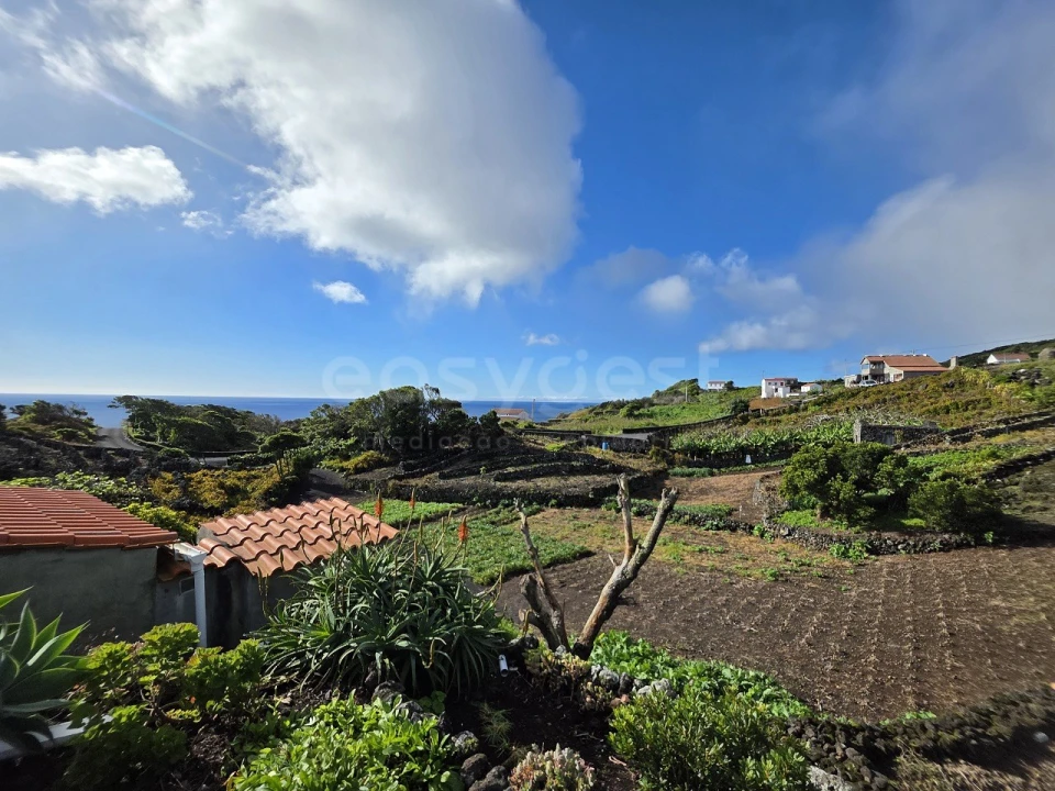 Negócio para Venda em Calheta de Nesquim Foto 2