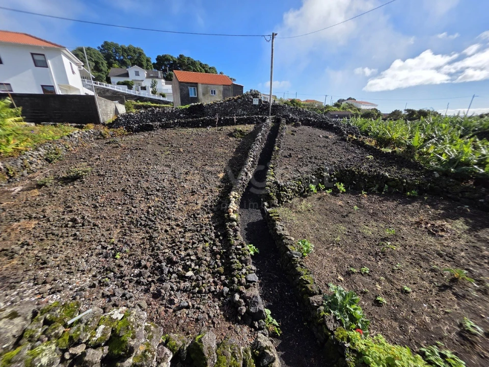 Negócio para Venda em Calheta de Nesquim Foto 8