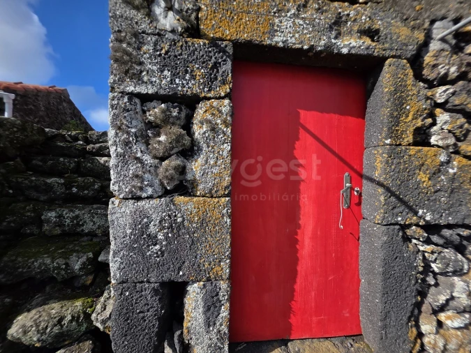 Negócio para Venda em Calheta de Nesquim Foto 4