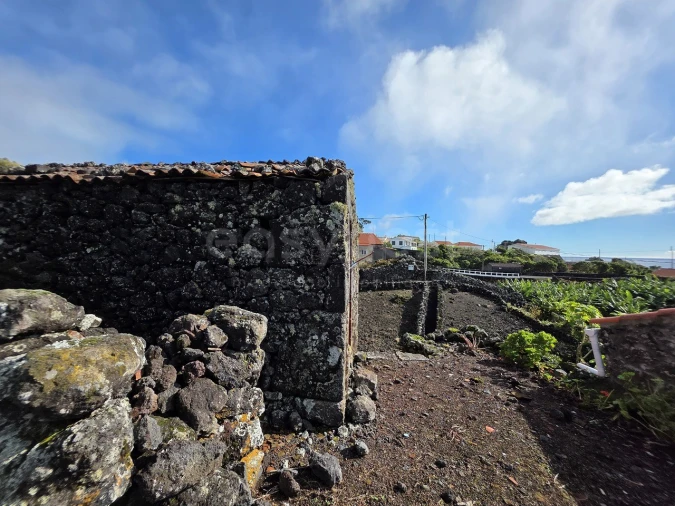 Negócio para Venda em Calheta de Nesquim Foto 6