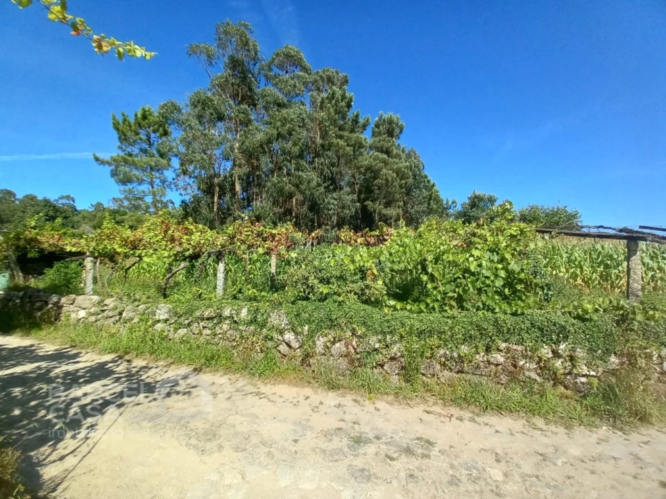 Terreno para Venda em Perelhal Foto 6