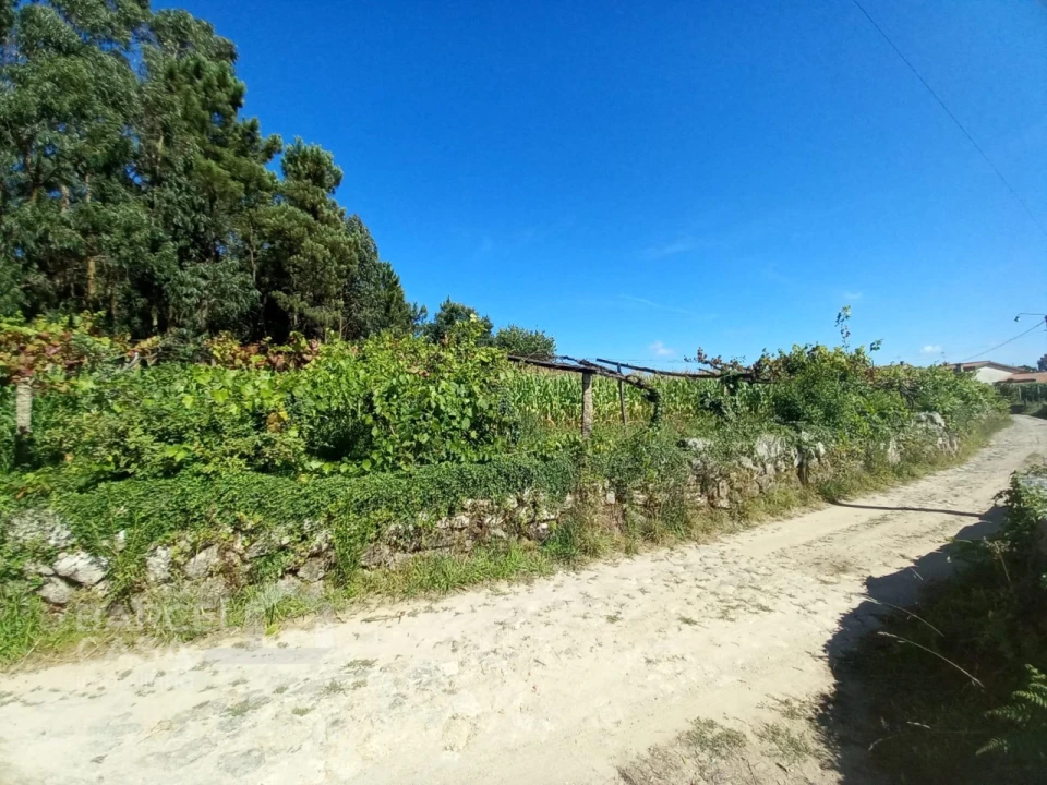 Terreno para Venda em Perelhal Foto 7