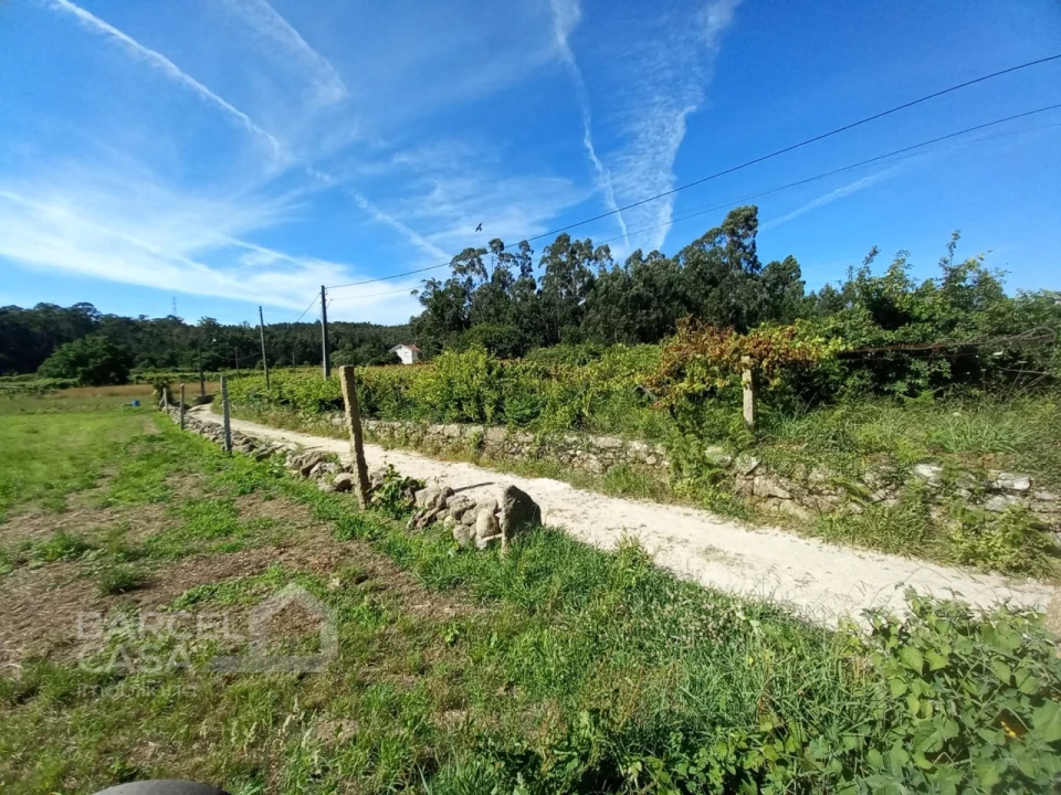 Terreno para Venda em Perelhal Foto 8