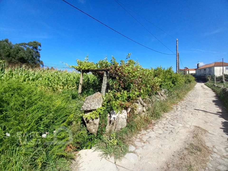Terreno para Venda em Perelhal Foto 10