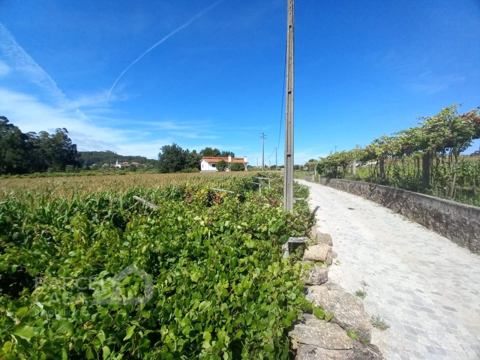 Terreno para Venda em Perelhal Foto 14