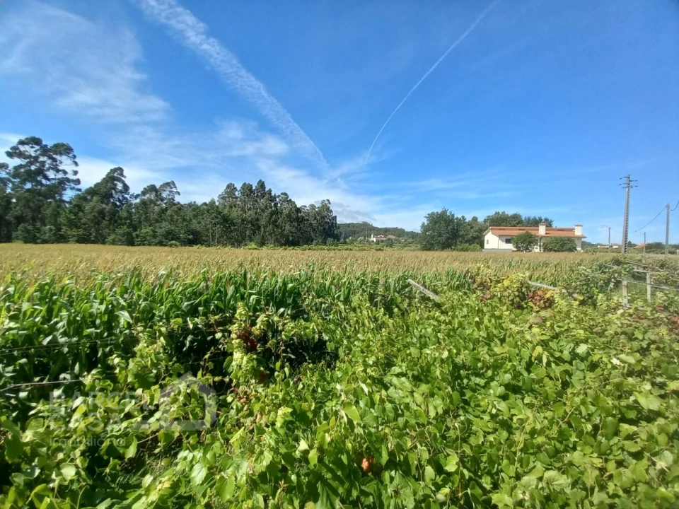 Terreno para Venda em Perelhal Foto 15