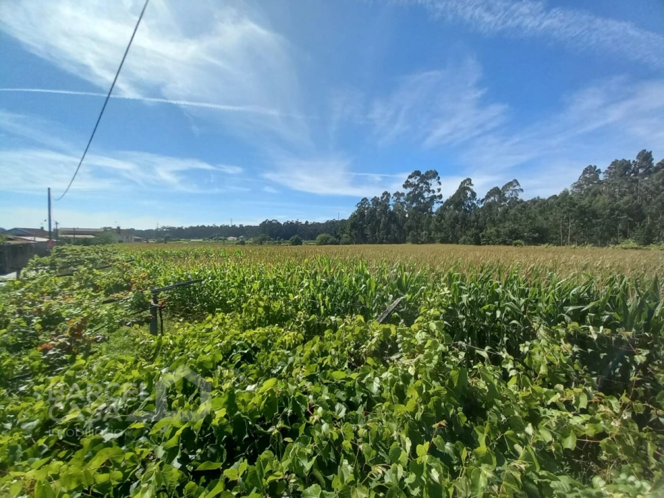 Terreno para Venda em Perelhal Foto 16