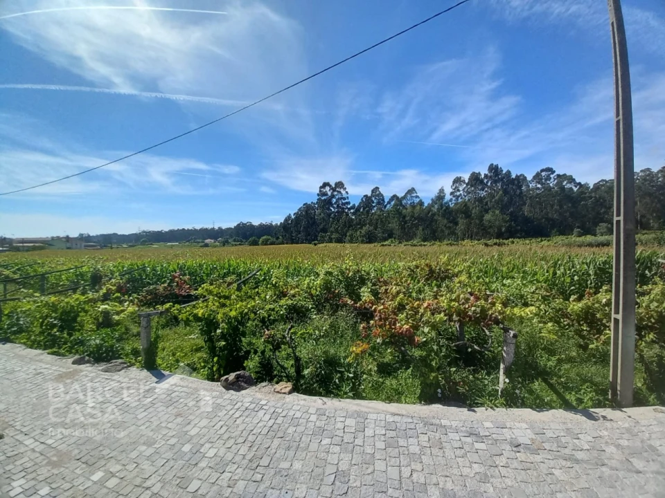 Terreno para Venda em Perelhal Foto 17