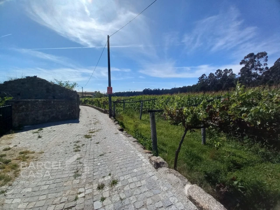 Terreno para Venda em Perelhal Foto 19