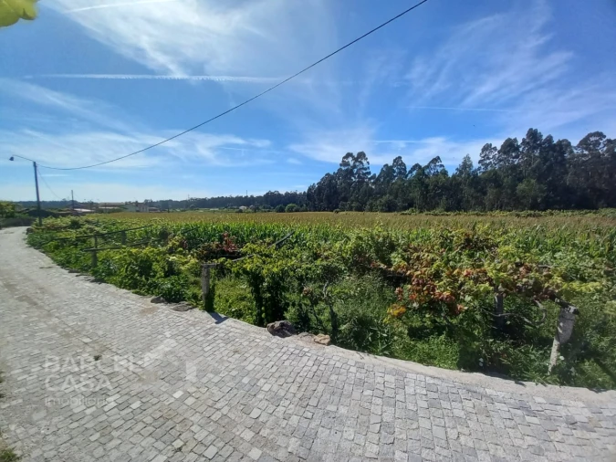 Terreno para Venda em Perelhal Foto 2