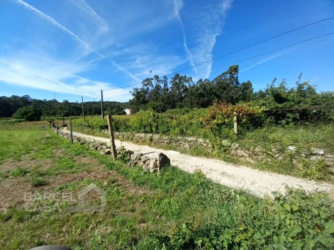 Terreno para Venda em Perelhal Foto 8