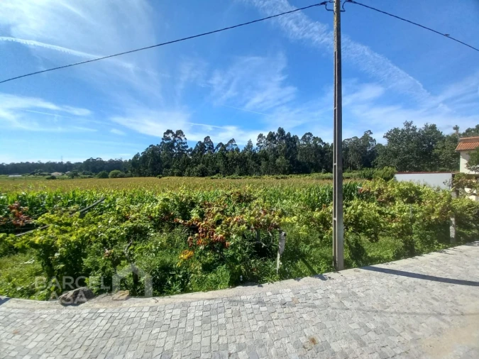Terreno para Venda em Perelhal Foto 12