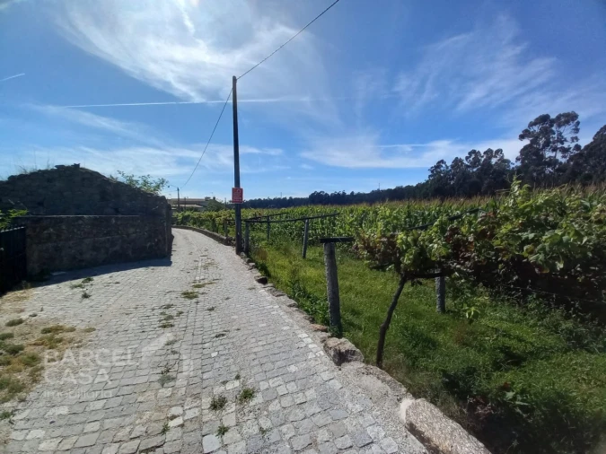 Terreno para Venda em Perelhal Foto 19