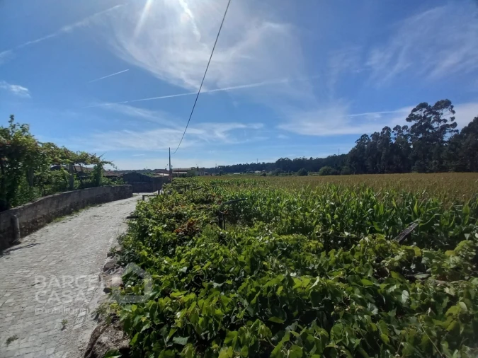 Terreno para Venda em Perelhal Foto 20