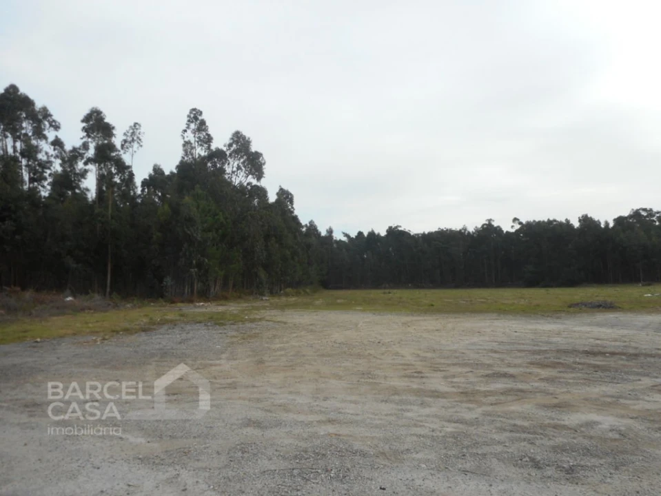 Terreno para Venda em Esposende, Marinhas e Gandra Foto 4