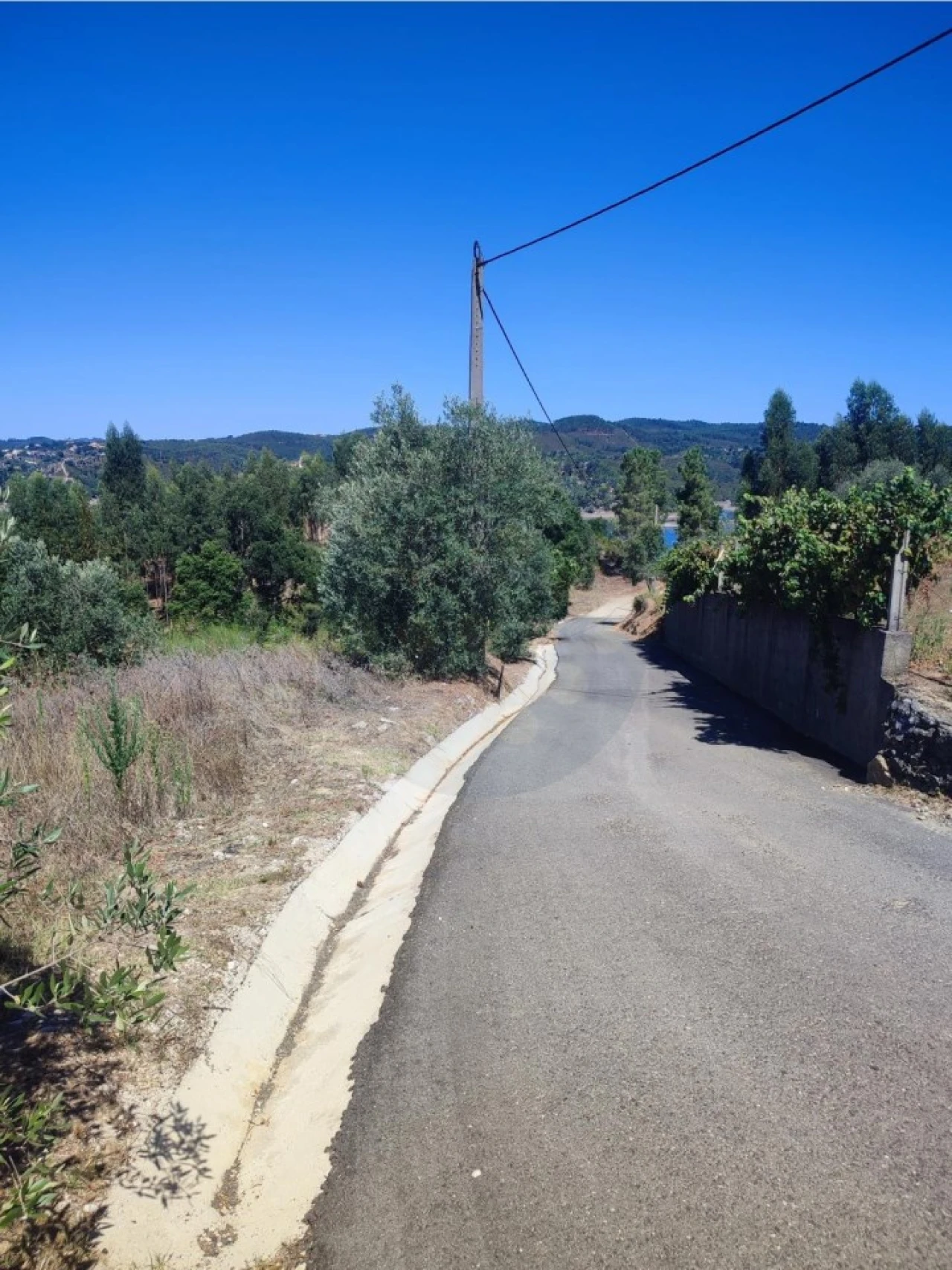 Terreno para Venda em Aldeia do Mato e Souto Foto 5