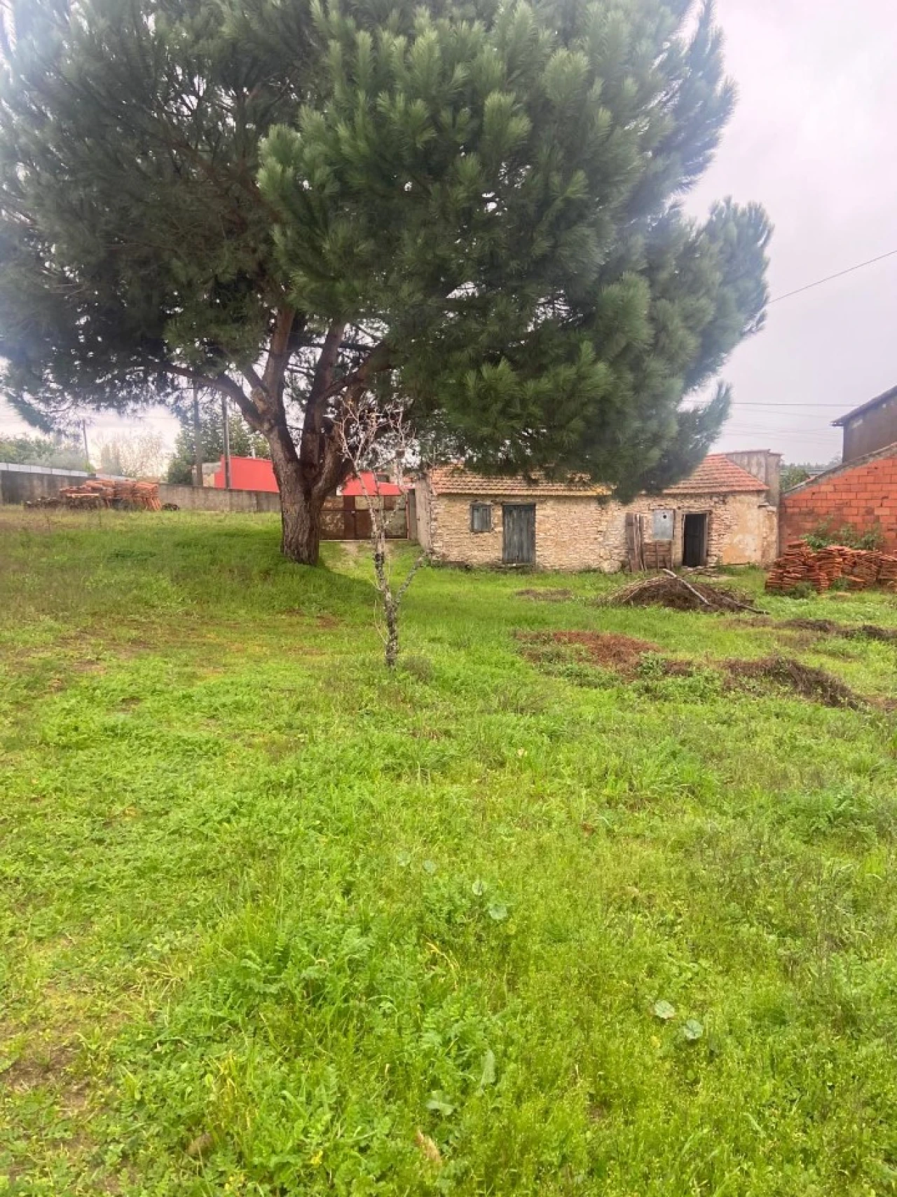 Moradia T1 para Venda em Carapinheira Foto 8