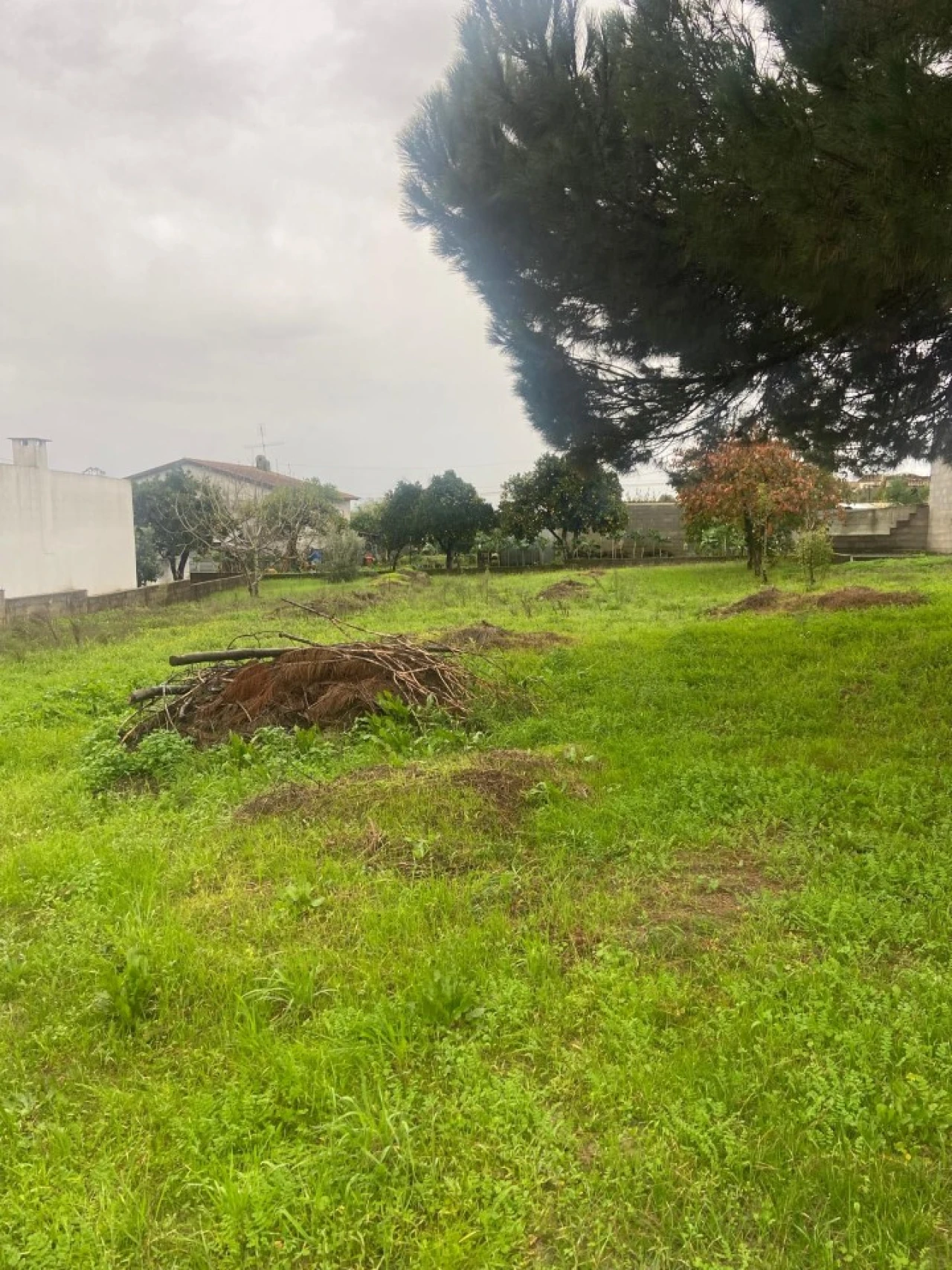 Moradia T1 para Venda em Carapinheira Foto 15