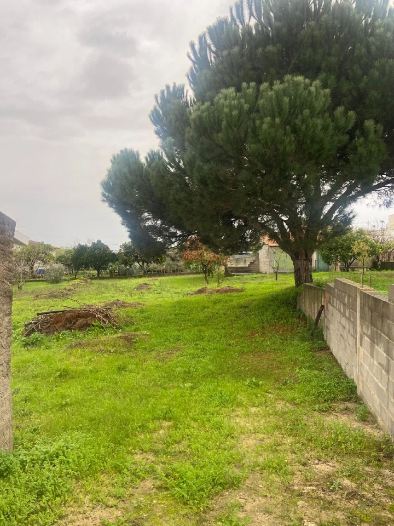 Moradia T1 para Venda em Carapinheira Foto 22