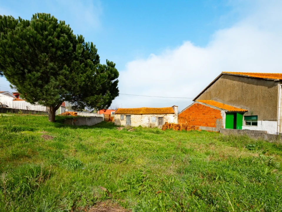 Moradia T1 para Venda em Carapinheira Foto 36