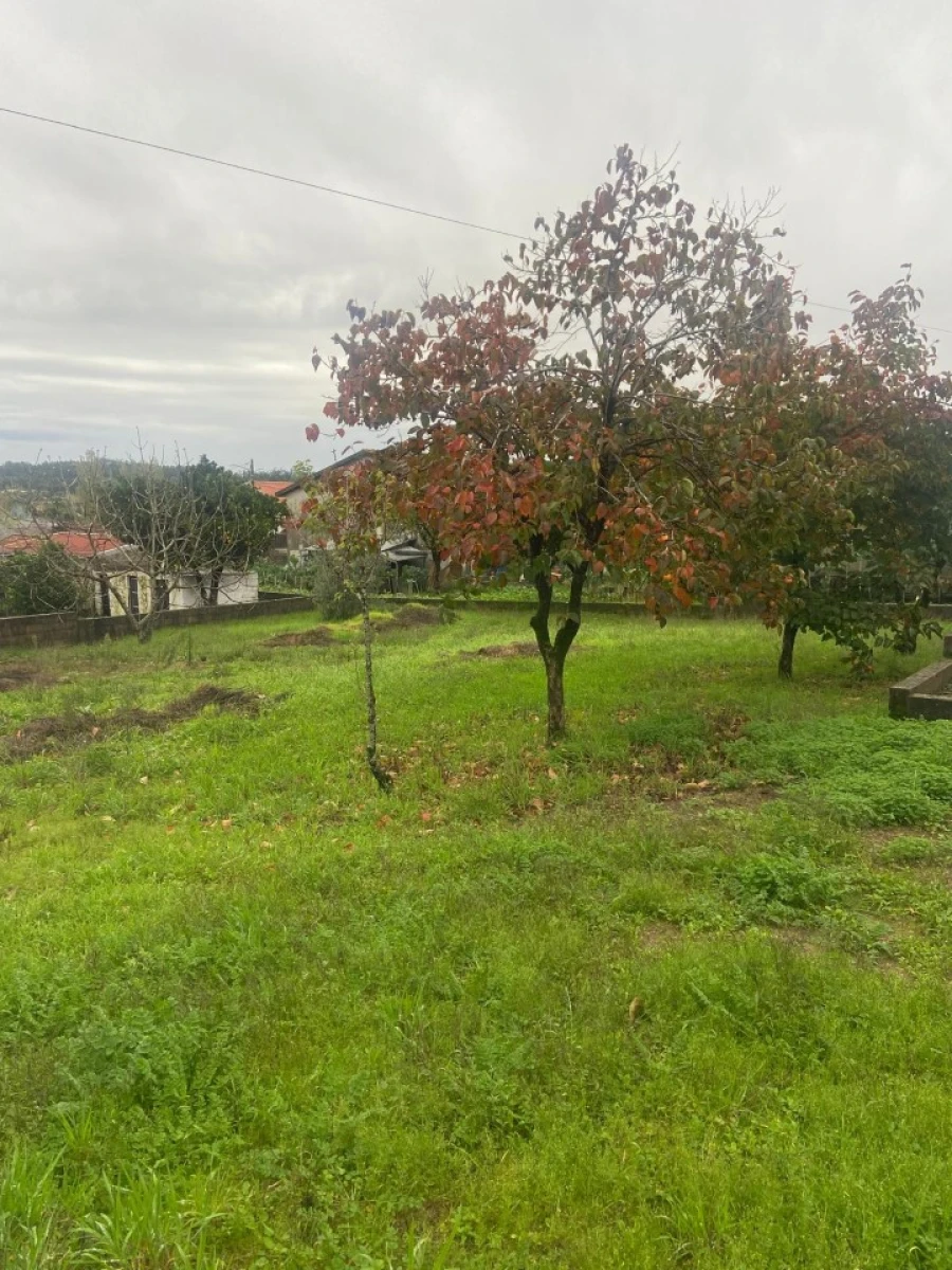 Moradia T1 para Venda em Carapinheira Foto 7