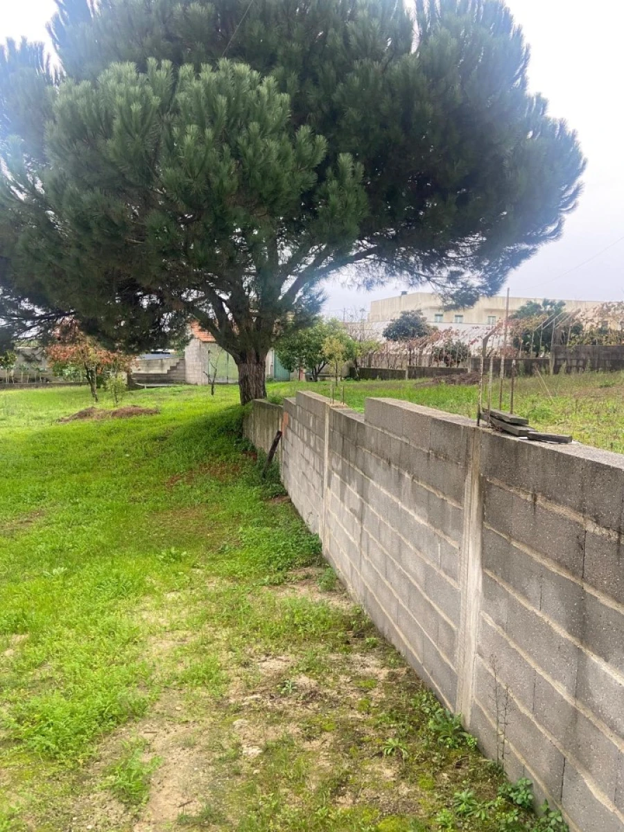 Moradia T1 para Venda em Carapinheira Foto 21