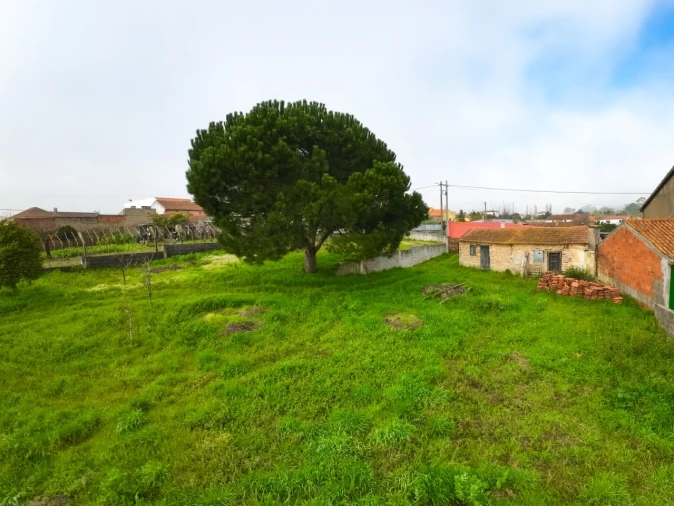 Moradia T1 para Venda em Carapinheira Foto 27