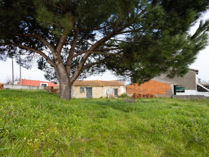 Moradia T1 para Venda em Carapinheira Foto 29