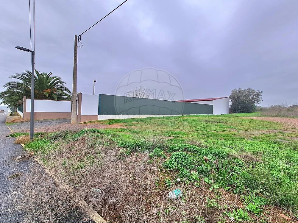 Terreno para Venda em Ervidel Foto 5