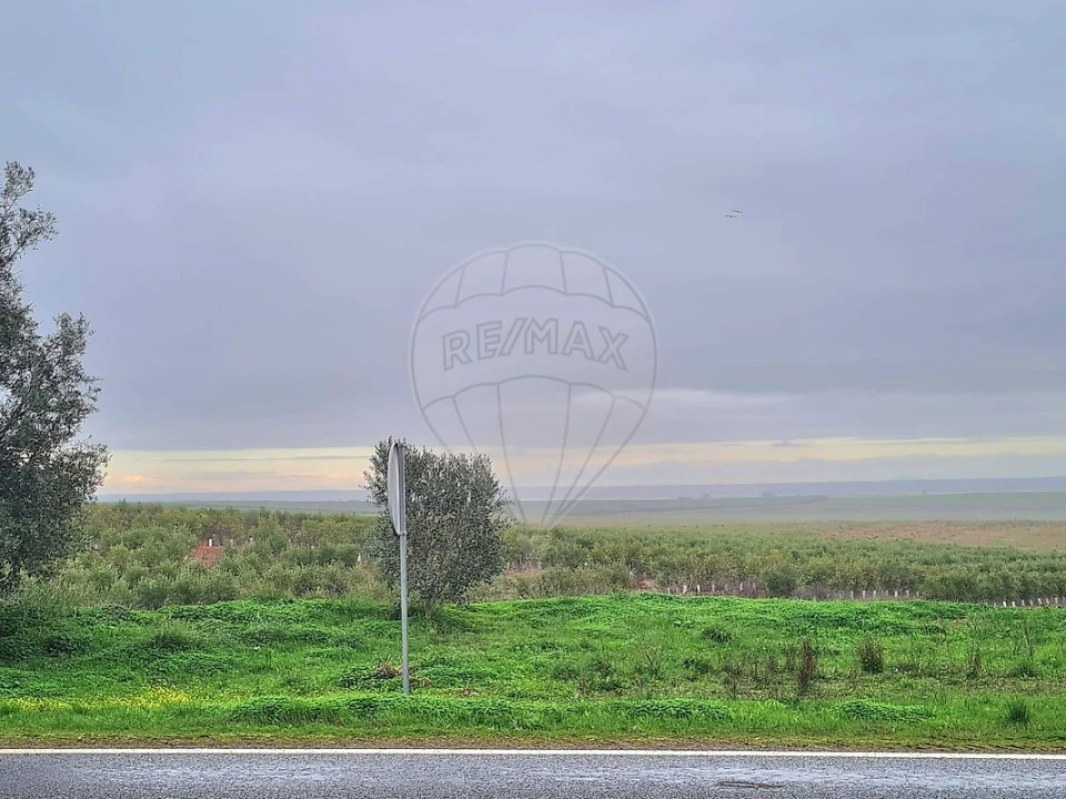 Terreno para Venda em Ervidel Foto 3