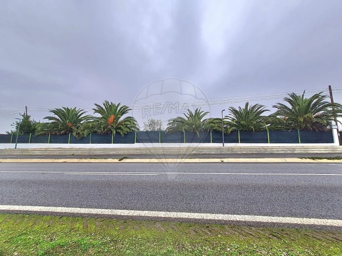 Terreno para Venda em Ervidel Foto 2