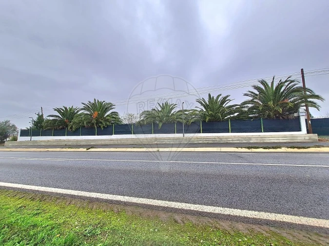 Terreno para Venda em Ervidel