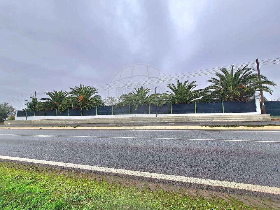 Terreno para Venda em Ervidel Foto 1