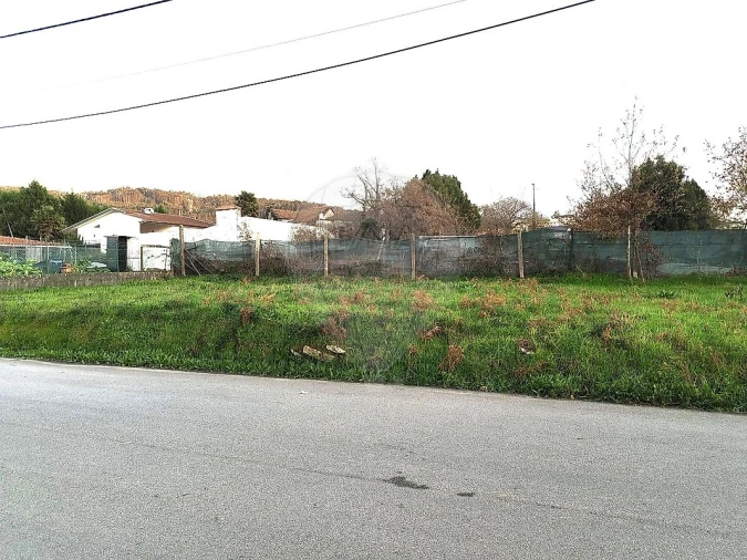Terreno para Venda em Carregosa Foto 3