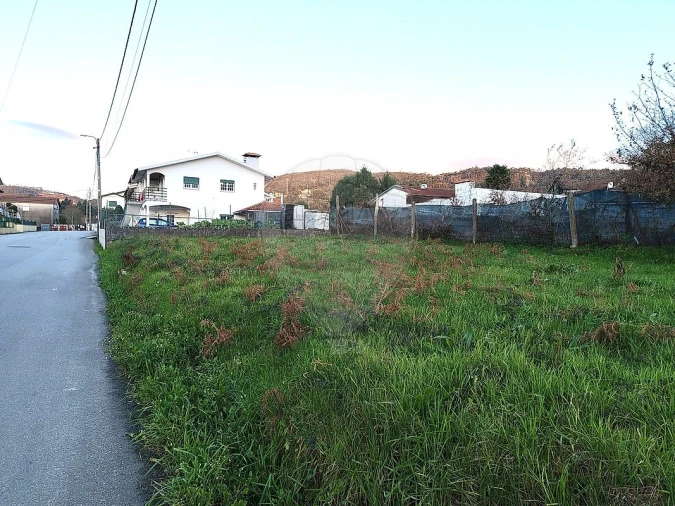 Terreno para Venda em Carregosa