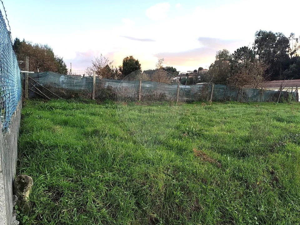 Terreno para Venda em Carregosa Foto 8