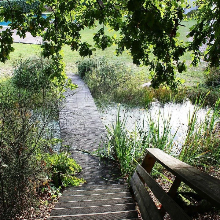 Quinta T0 para Venda em Santa Eulalia Foto 11