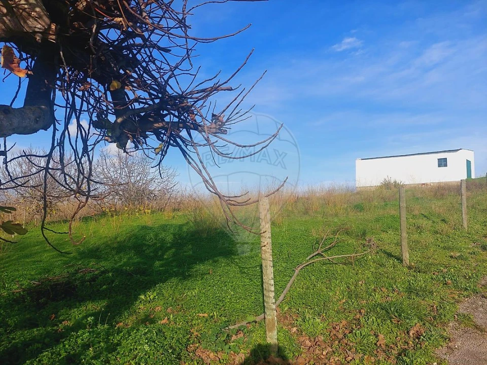 Terreno para Venda em Alenquer (Santo Estêvão e Triana) Foto 2