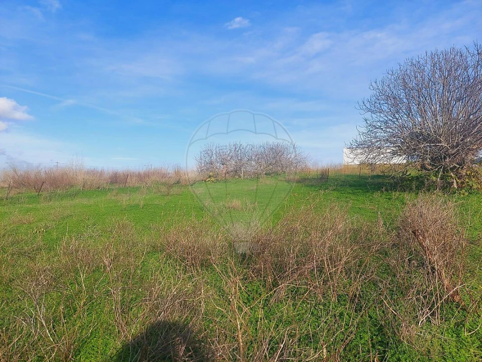 Terreno para Venda em Alenquer (Santo Estêvão e Triana) Foto 4