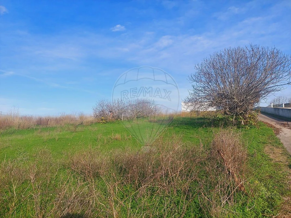 Terreno para Venda em Alenquer (Santo Estêvão e Triana) Foto 6