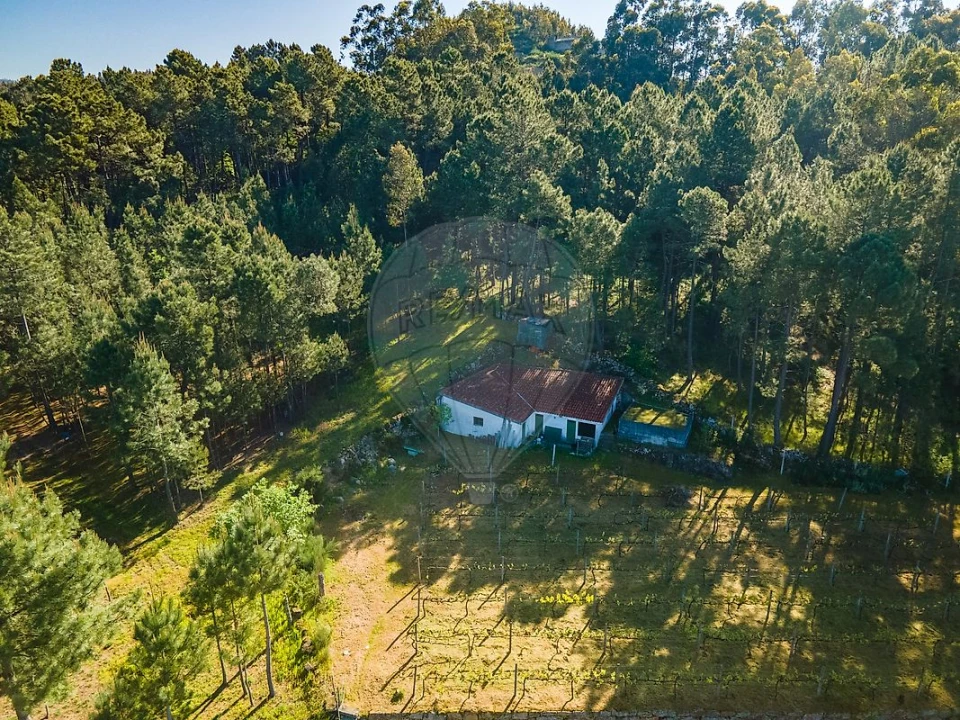 Terreno para Venda em São Cristovão de Nogueira Foto 6