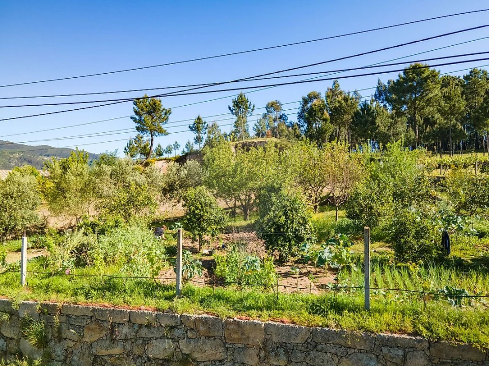 Terreno para Venda em São Cristovão de Nogueira Foto 3