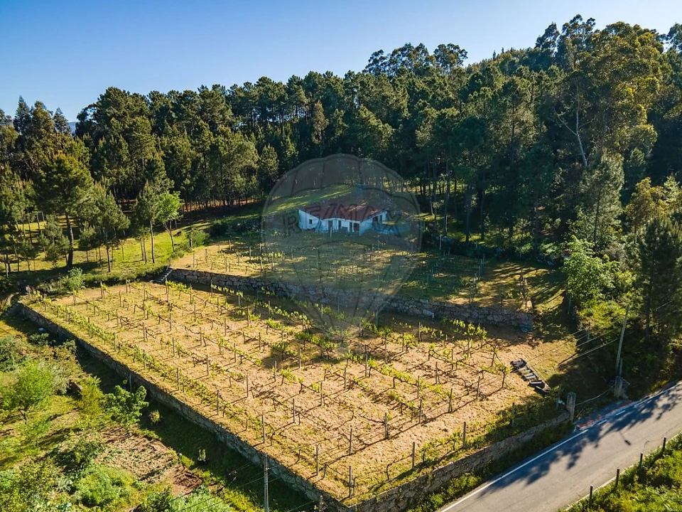 Terreno para Venda em São Cristovão de Nogueira Foto 5