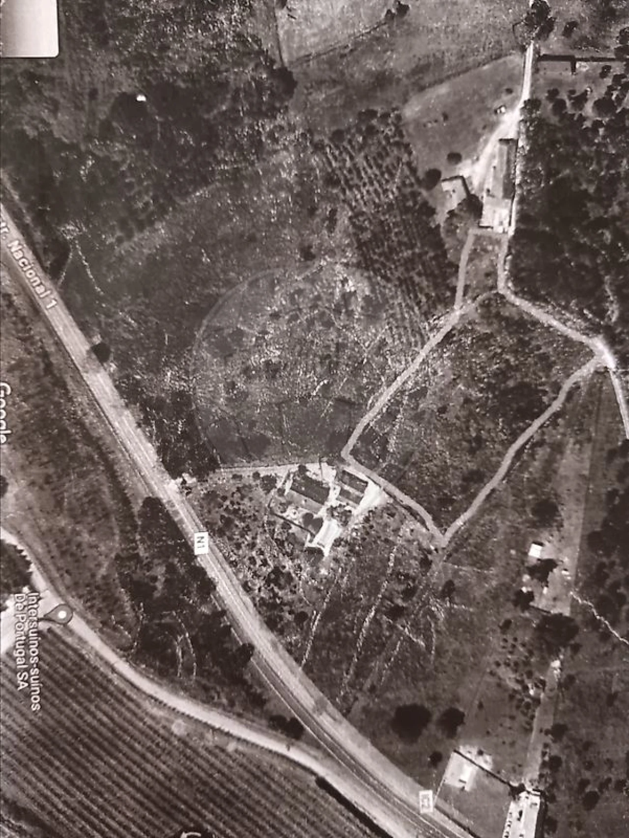 Terreno para Venda em Alcoentre Foto 4