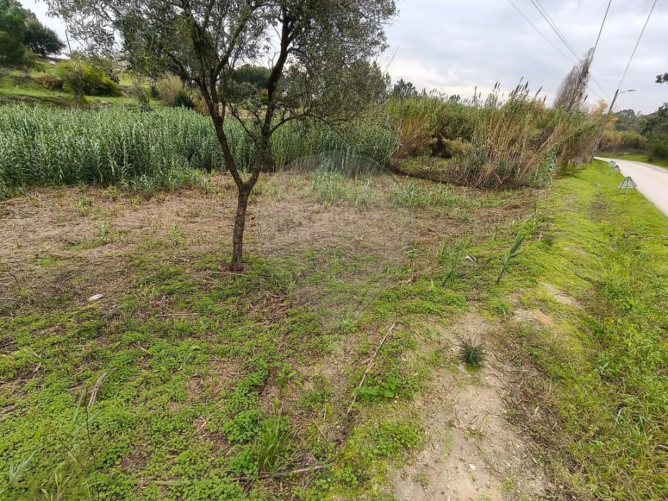 Terreno para Venda em Vale da Pedra Foto 3