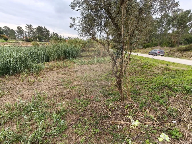 Terreno para Venda em Vale da Pedra Foto 4