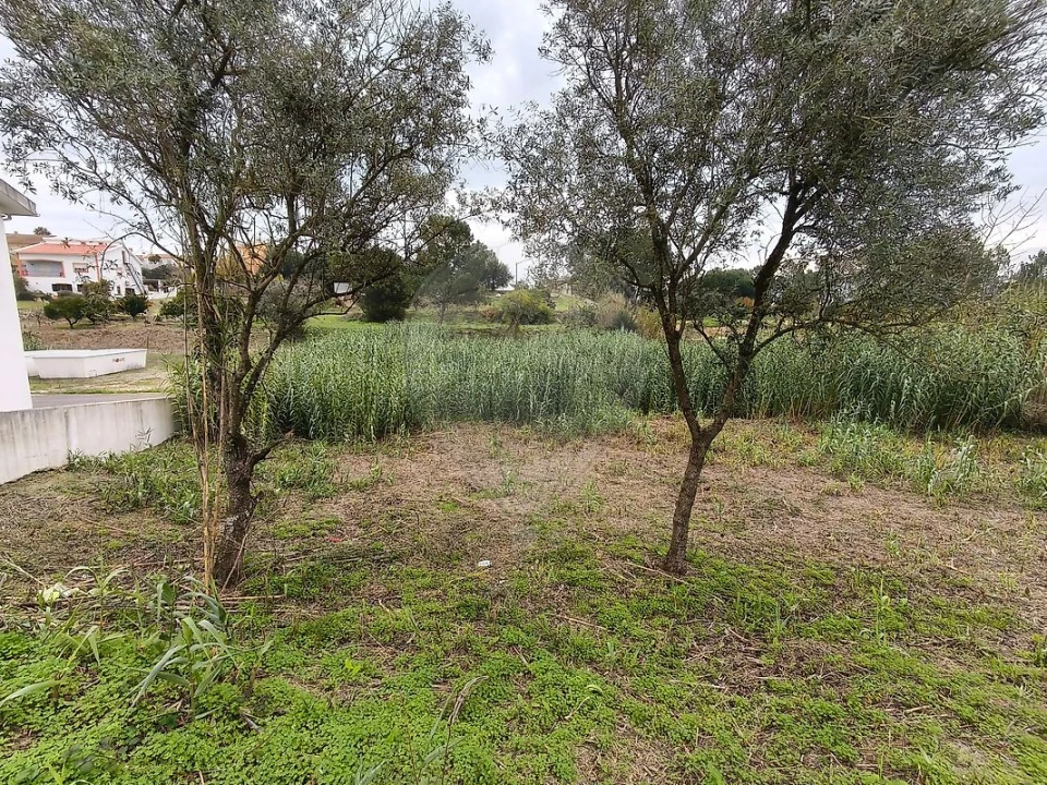 Terreno para Venda em Vale da Pedra Foto 1