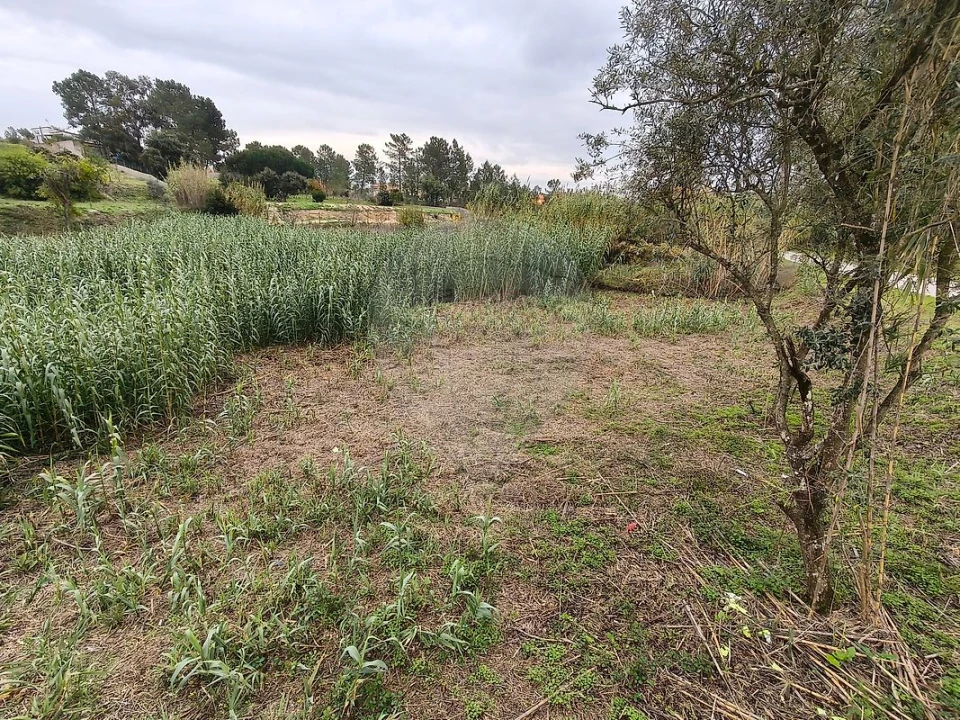 Terreno para Venda em Vale da Pedra Foto 2